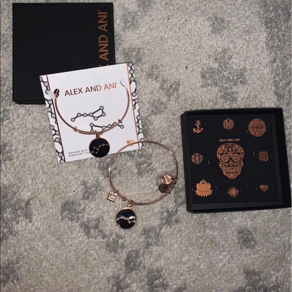 NEW Alex and ani big little bracelet set